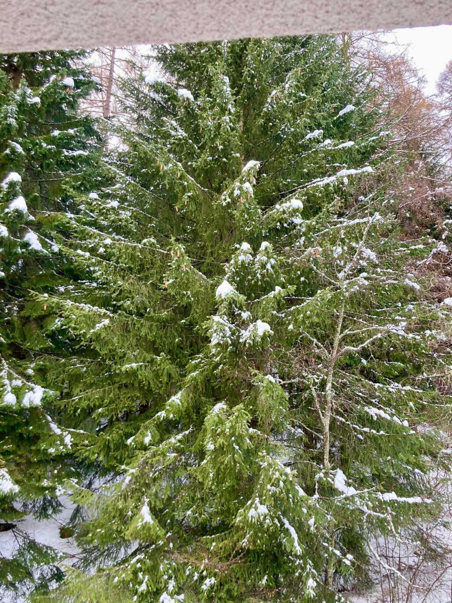 Appartamento Sulle Piste Folgarida Esterno foto